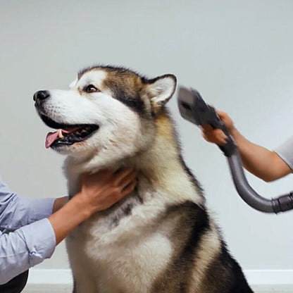 EasyFur™ Premium Pet Grooming Vacuum Kit